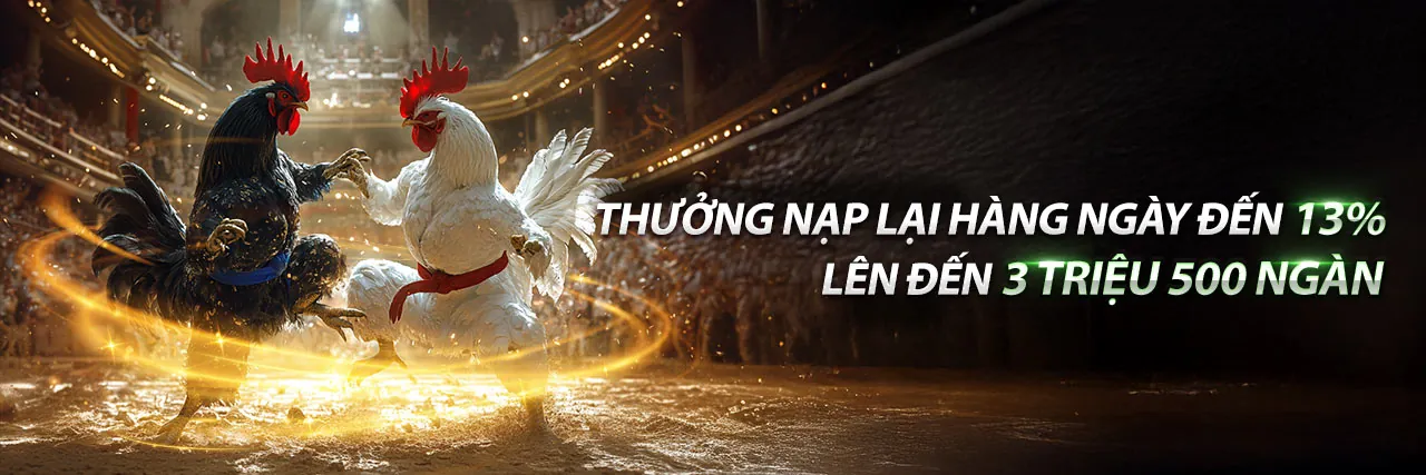 Đấu trường đá gà kịch tính tại 88t trang chủ chính thức